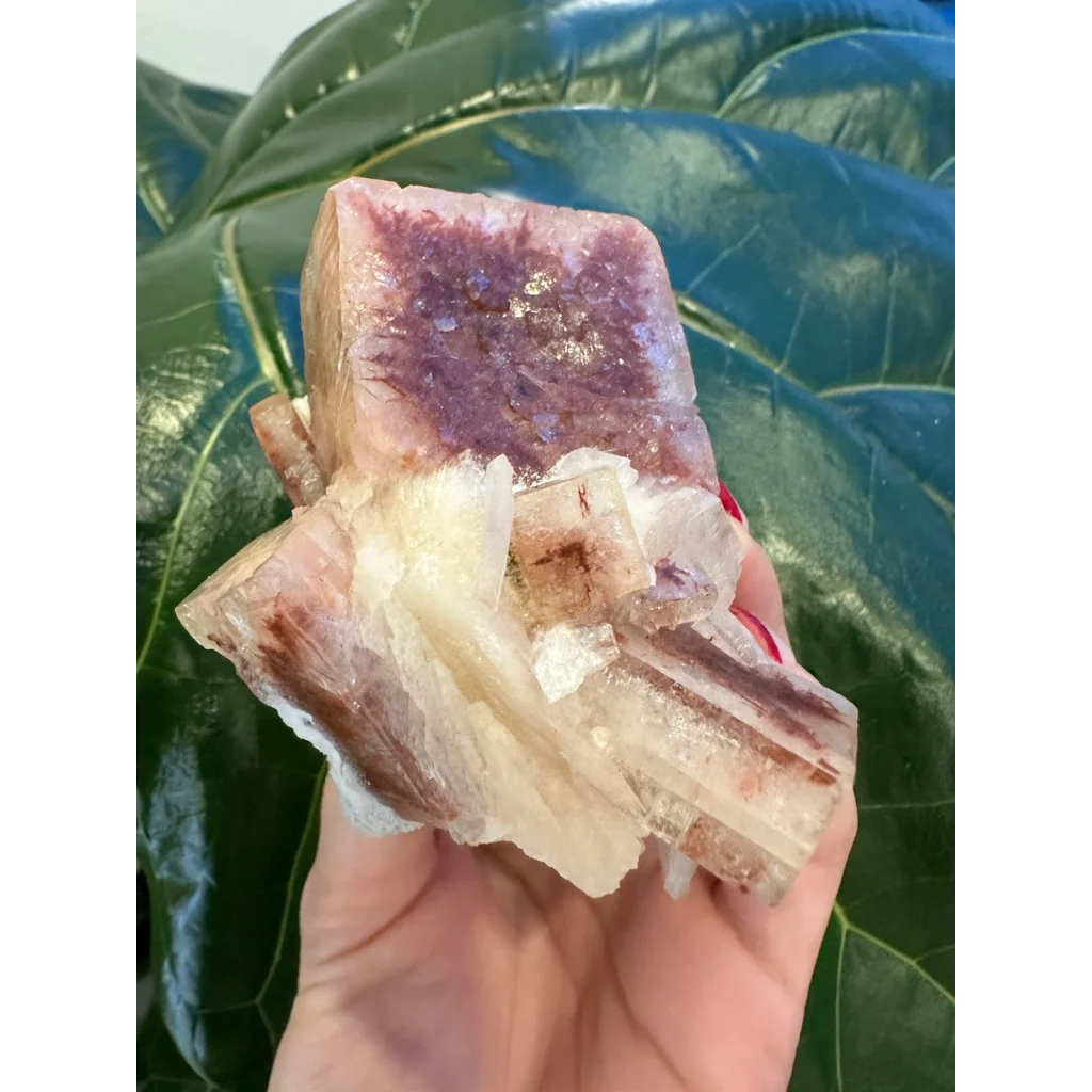 Hand holding red apophyllite cube from India with purple streaks