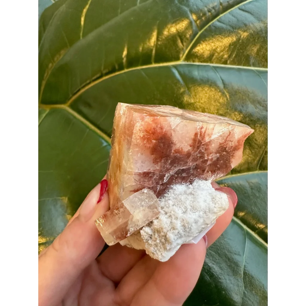 Stunning red apophyllite cube with stilbite from India