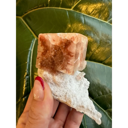 Stunning red apophyllite cube with stilbite on white matrix from India