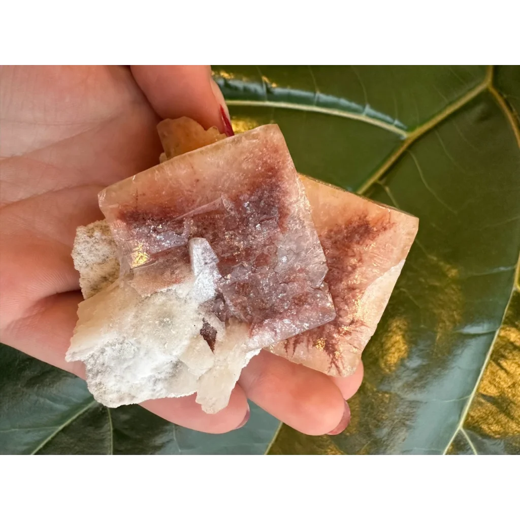 Stunning red apophyllite cube with stilbite on white matrix from India