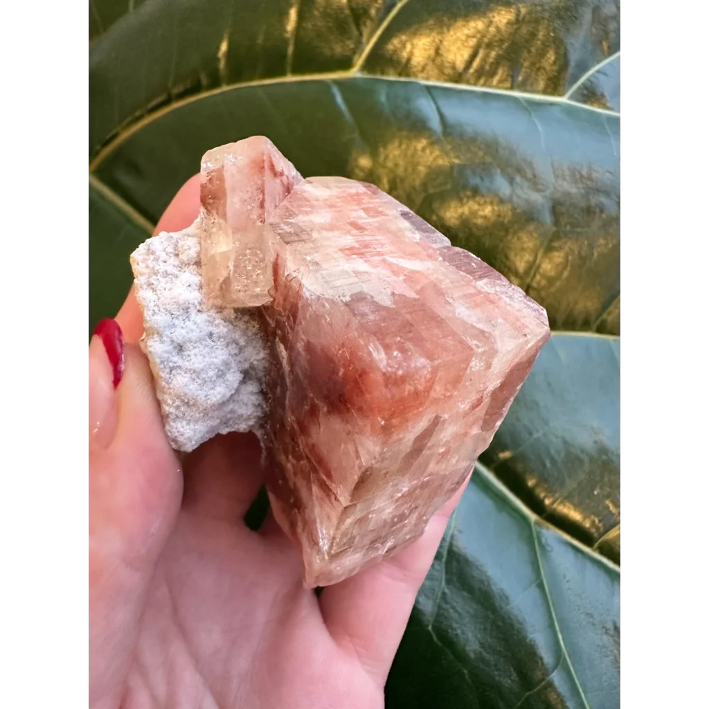 Hand holding stunning red apophyllite cube with stilbite from India