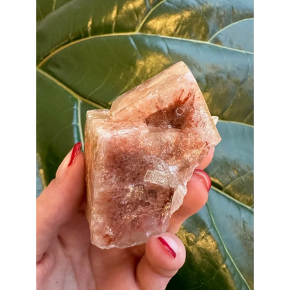 Stunning red apophyllite cube with stilbite from India