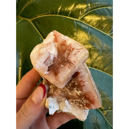 Stunning red apophyllite cube with stilbite on green leaves