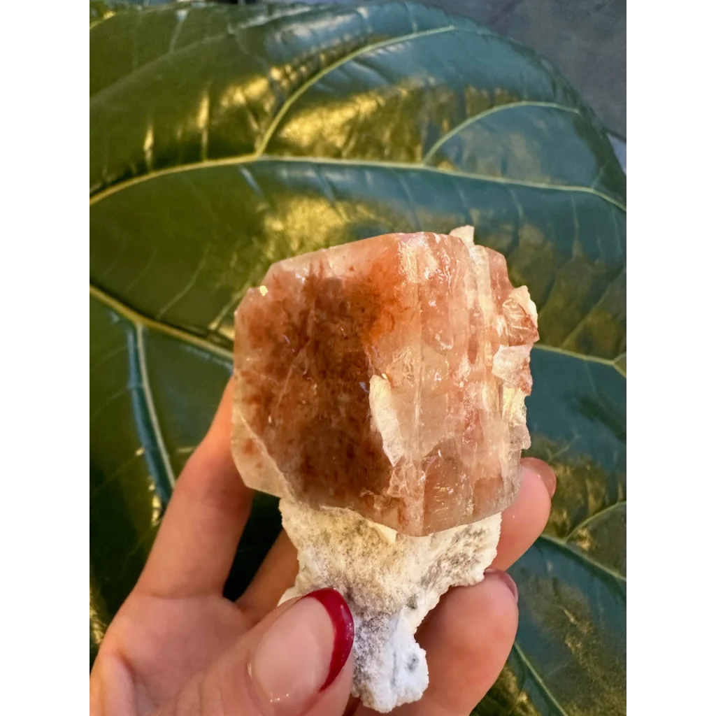 Stunning red apophyllite cube with stilbite from India