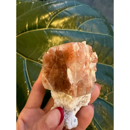 Stunning red apophyllite cube with stilbite from India