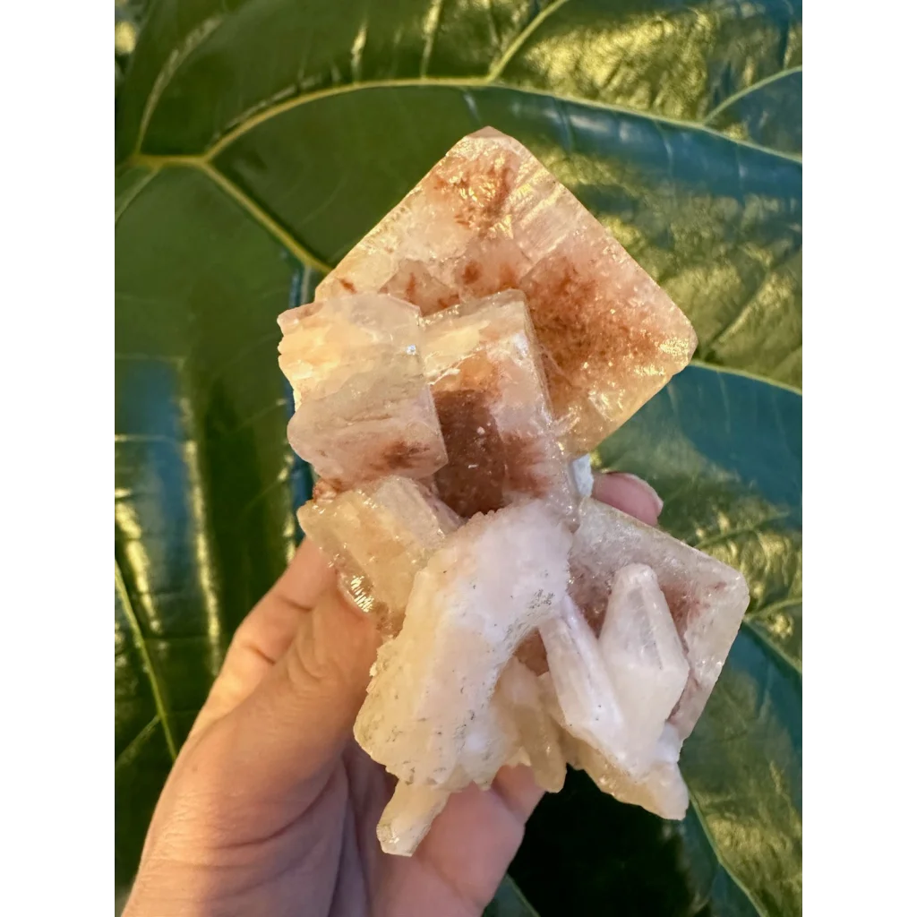 Stunning red apophyllite cube with stilbite from India