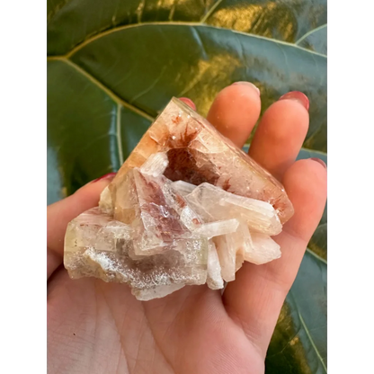 Stunning red apophyllite cube with stilbite from India