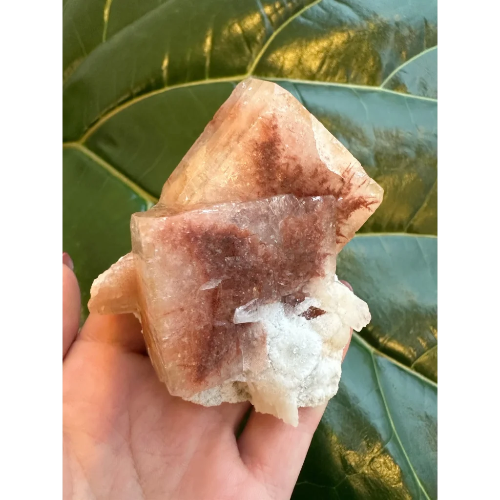 Stunning red apophyllite cube with stilbite from India