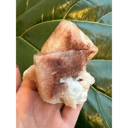 Stunning red apophyllite cube with stilbite from India