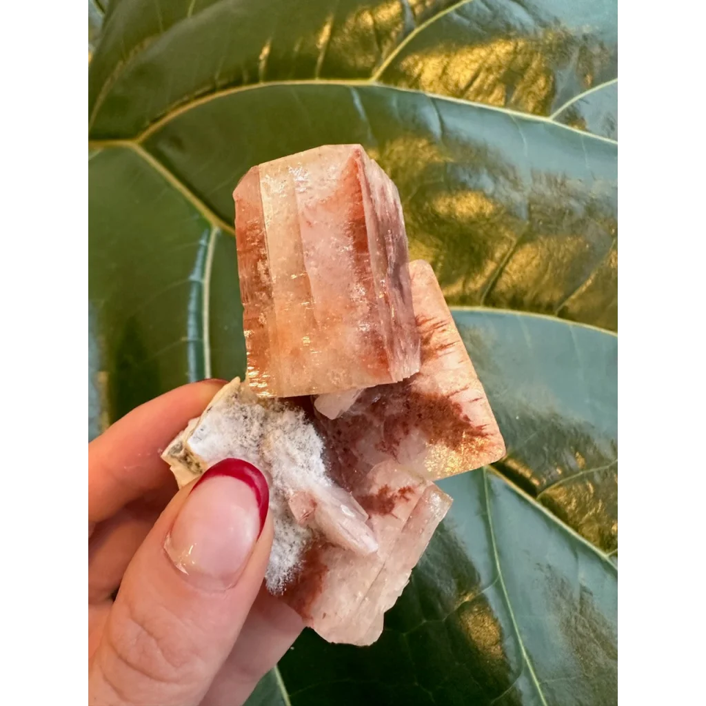 Stunning red apophyllite cube with stilbite from India