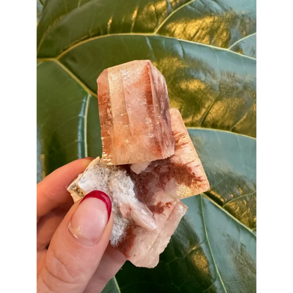 Stunning red apophyllite cube with stilbite from India