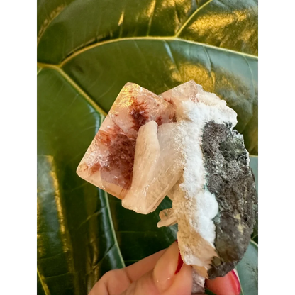Stunning red apophyllite cube with stilbite on gray matrix from India