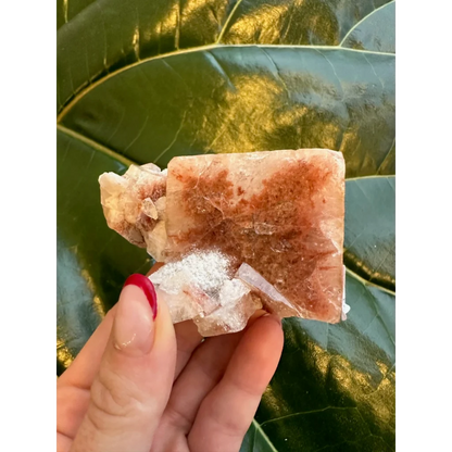 Stunning red apophyllite cube with stilbite on quartz, pinkish facets amid green leaves