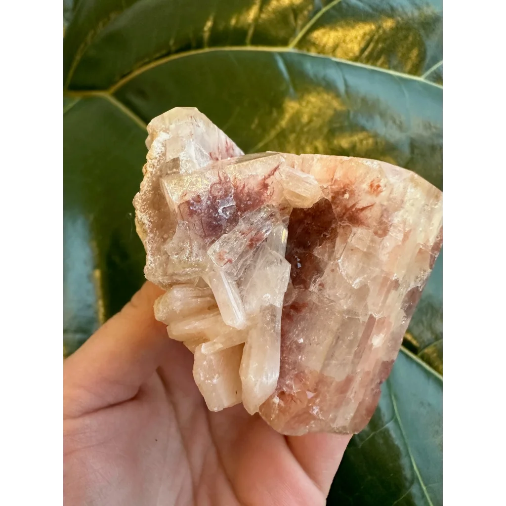 Stunning red apophyllite cube with stilbite from India