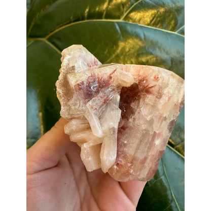 Stunning red apophyllite cube with stilbite from India