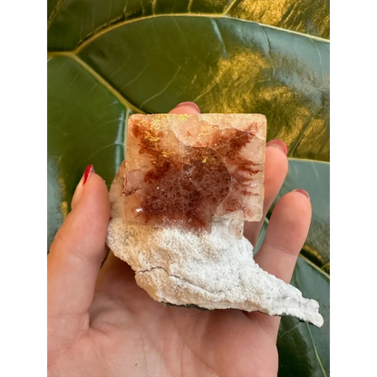 Stunning red apophyllite cube with stilbite from India on quartz base
