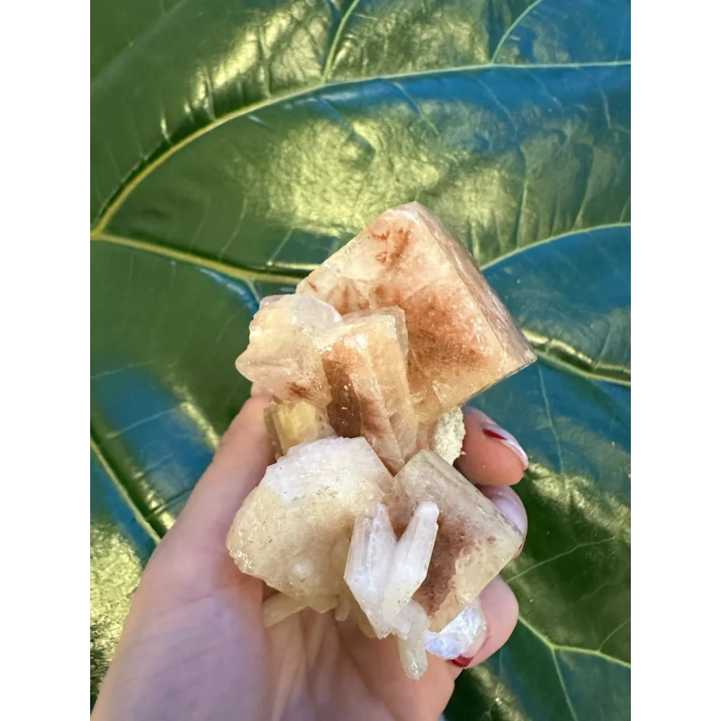 Hand holding stunning red apophyllite cube with stilbite from India