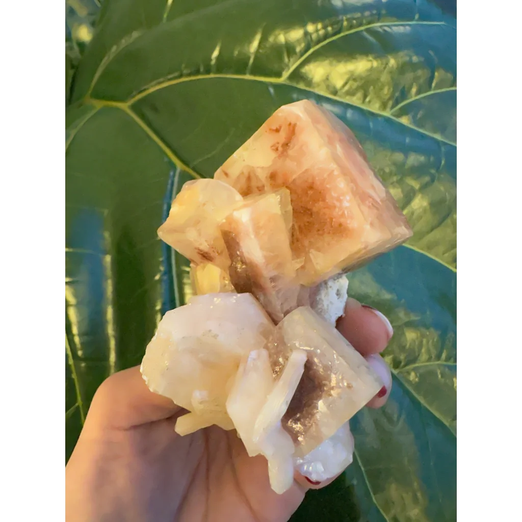 Hand holding stunning red apophyllite cube with stilbite from India