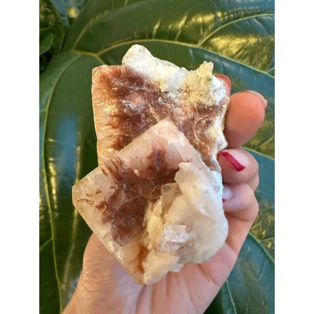 Hand holding stunning red apophyllite cube with stilbite from India