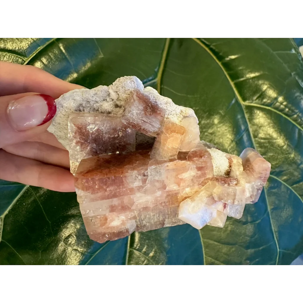 Hand holding red apophyllite cube with stilbite from India