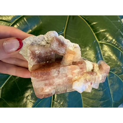 Hand holding red apophyllite cube with stilbite from India