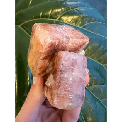 Stunning red apophyllite cube with stilbite from India