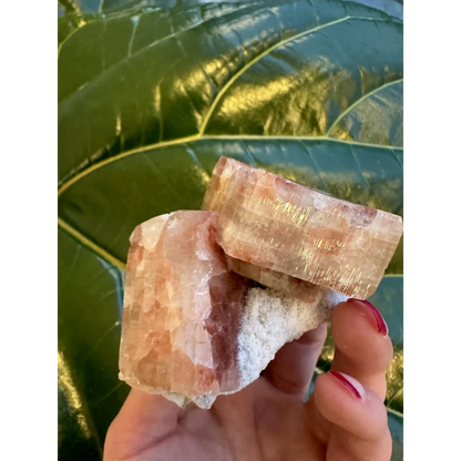 Stunning red apophyllite cube with pinkish-orange calcite and stilbite from India