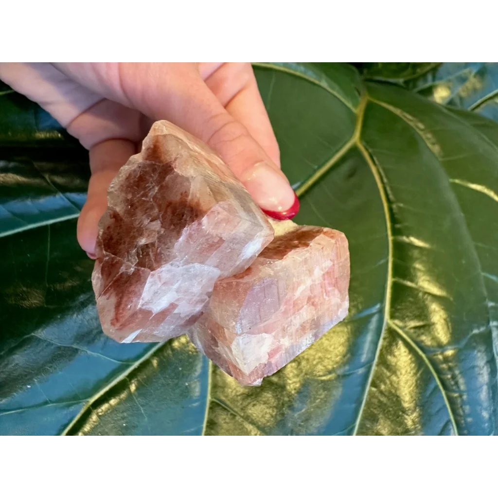 Hand holding red apophyllite cube with stilbite on green leaves