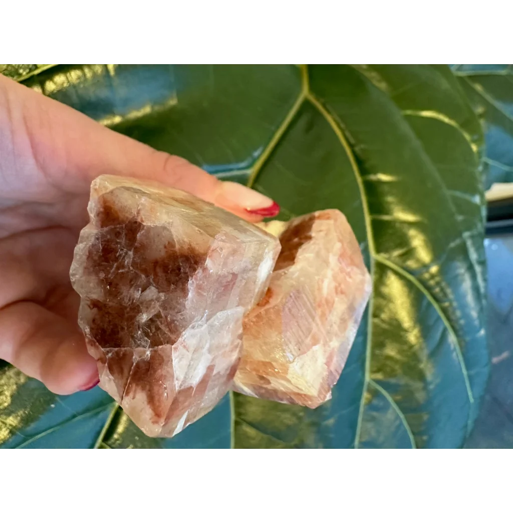 Hand holding warm amber red apophyllite cube with stilbite from India