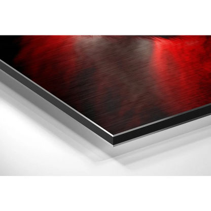 Stunning red gorilla brushed aluminium dibond wall art panel