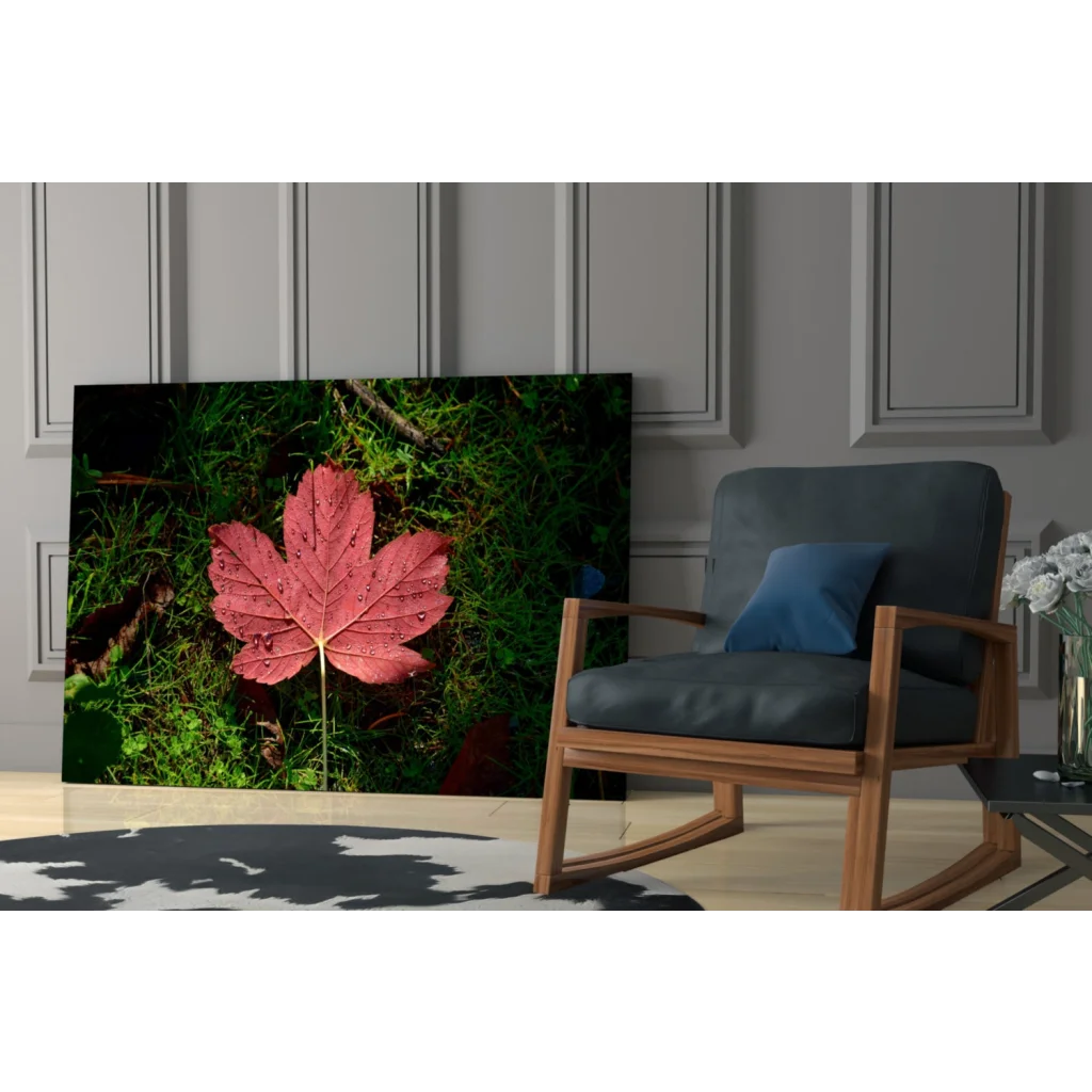 Vibrant red maple leaf wall art with dew drops on lush green grass
