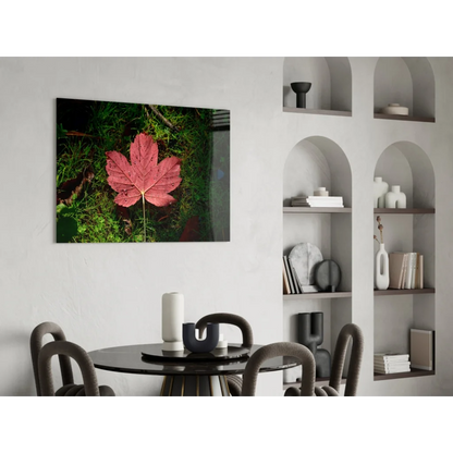 Vibrant red maple leaf with dew on green grass wall art print