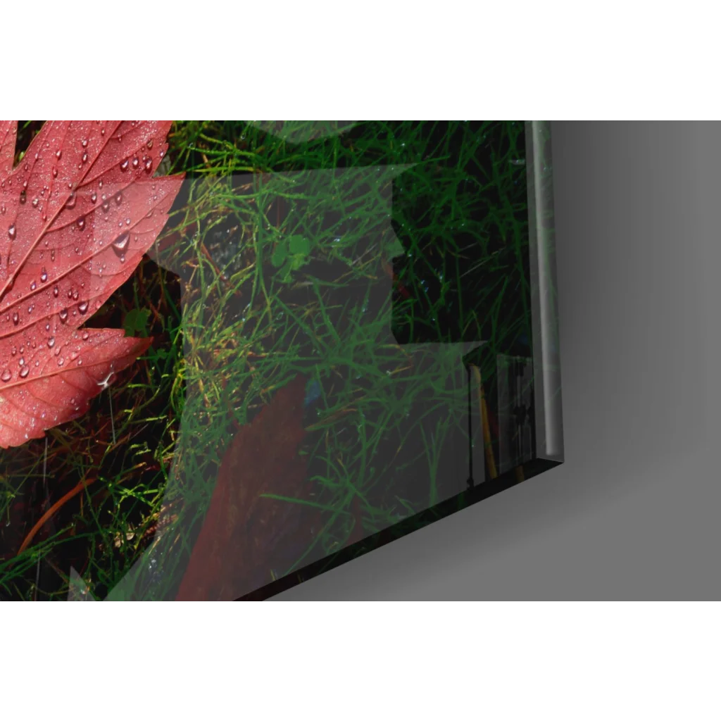 Vibrant red maple leaf with dew drops in framed glass wall art