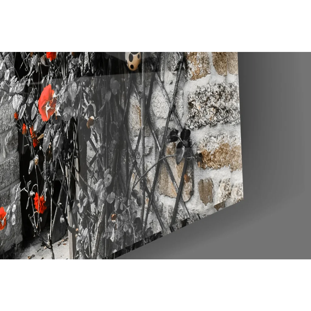 Stunning red rose barn wall art canvas print with black and white poppy flower and stone background