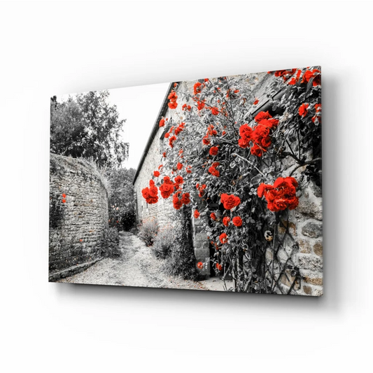 Stunning red rose barn wall art canvas print