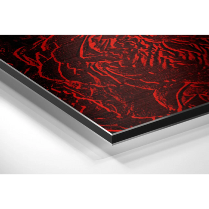 Sleek black-framed red abstract art print on brushed aluminium dibond