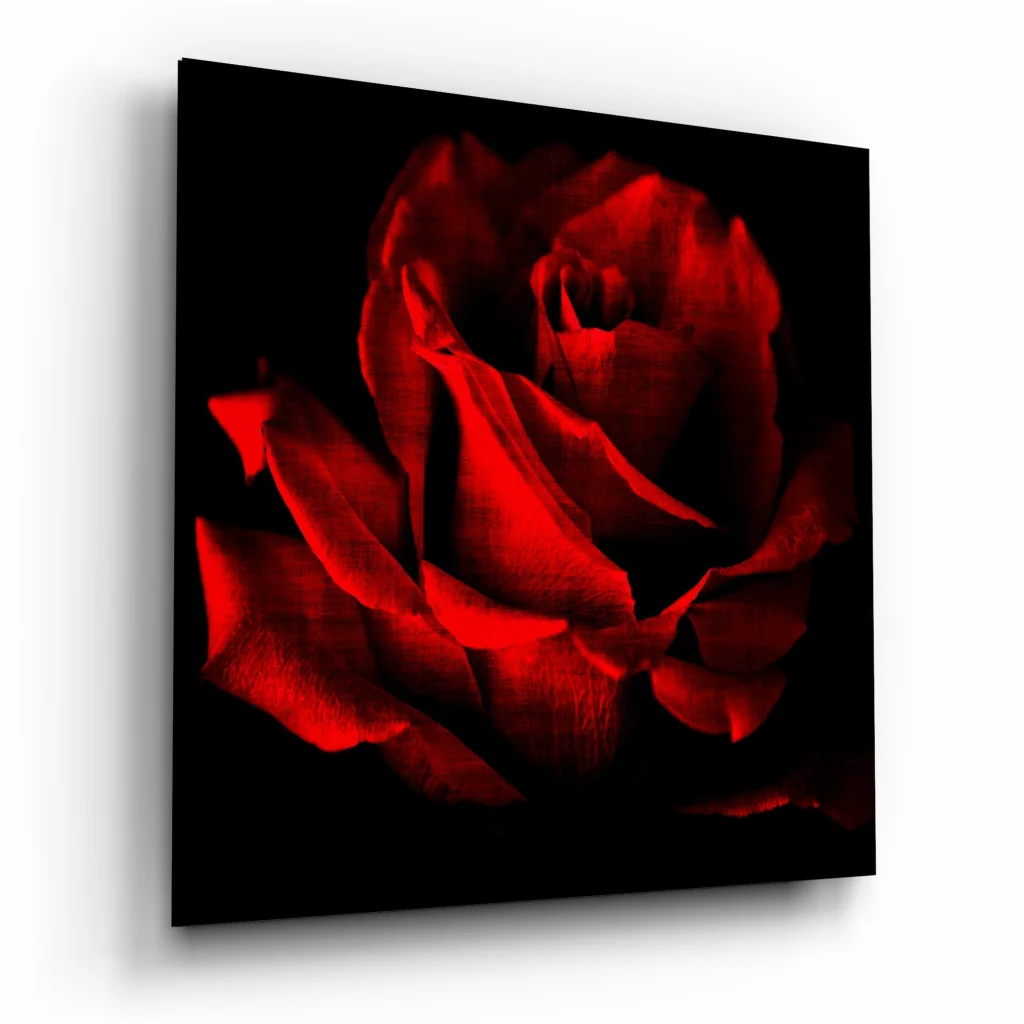 Vibrant red rose glass wall art on black canvas