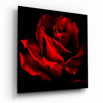 Vibrant red rose glass wall art on black canvas