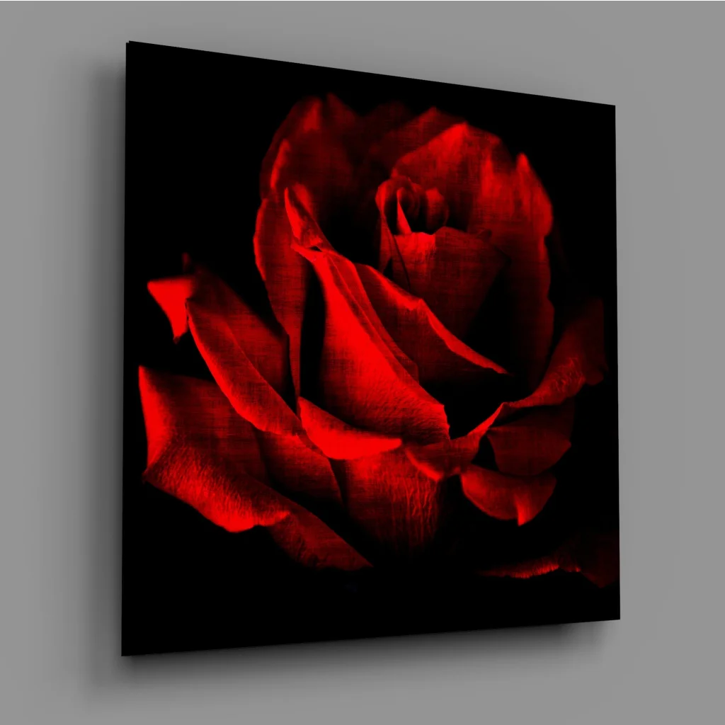 Stunning red rose glass wall art on black canvas