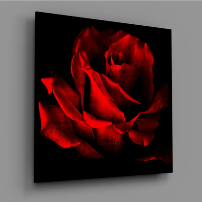 Stunning red rose glass wall art on black canvas