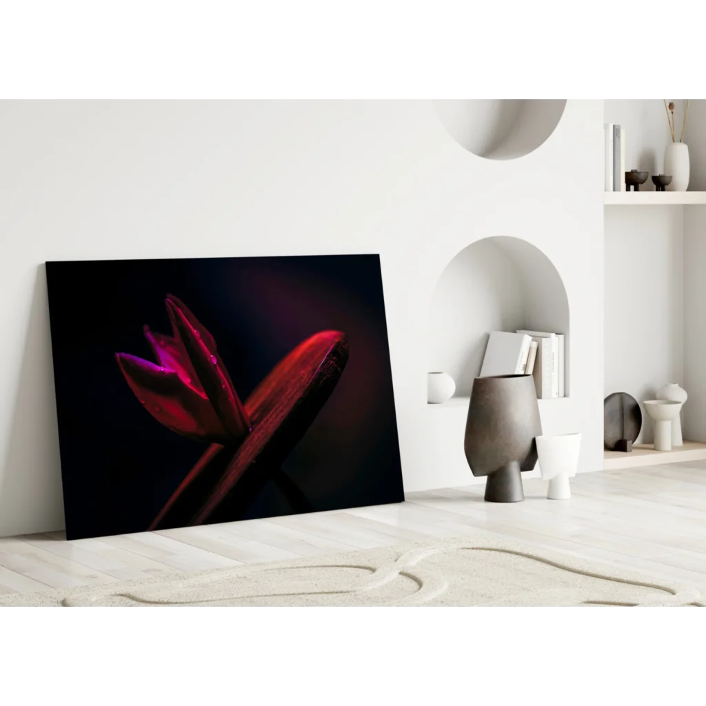 Vibrant red tulip wall art on sleek black canvas against white wall