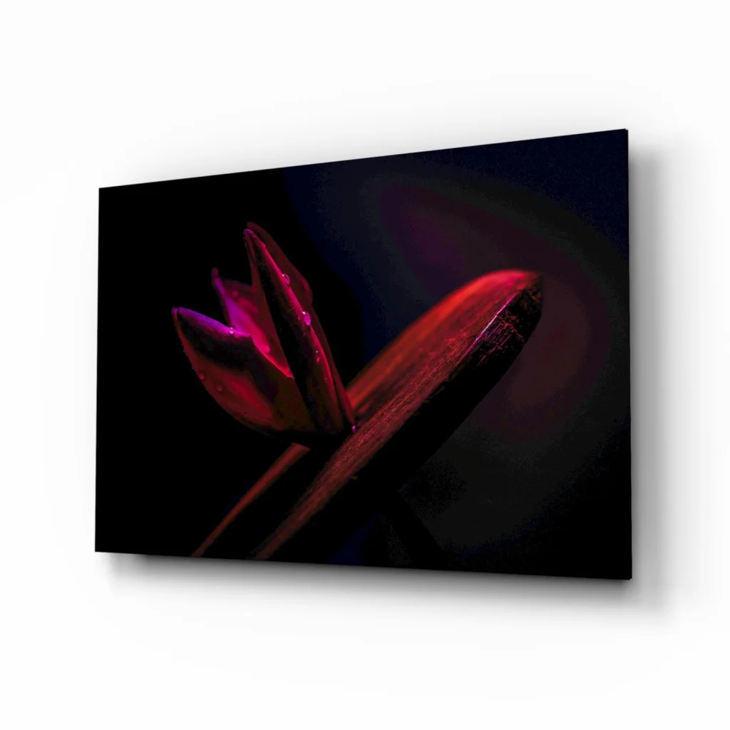 Vibrant red tulip wall art on sleek black canvas with moody lighting