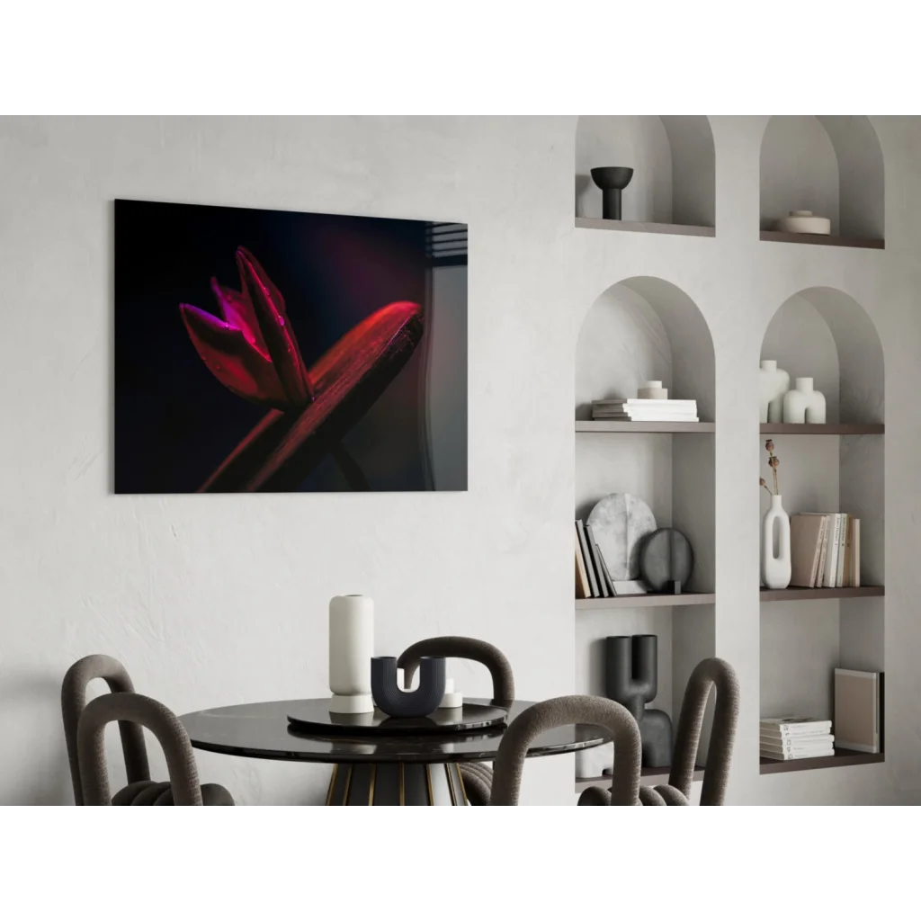 Vibrant red tulip wall art on sleek black canvas for modern interiors