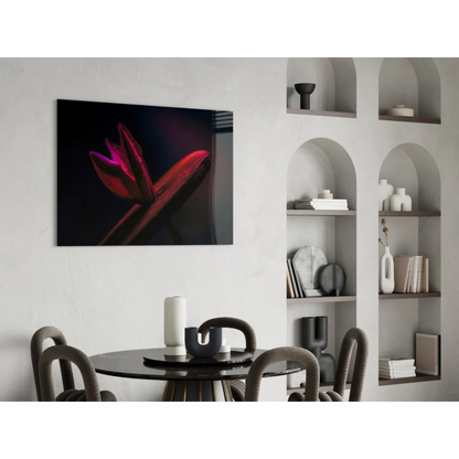 Vibrant red tulip wall art on sleek black canvas for modern interiors