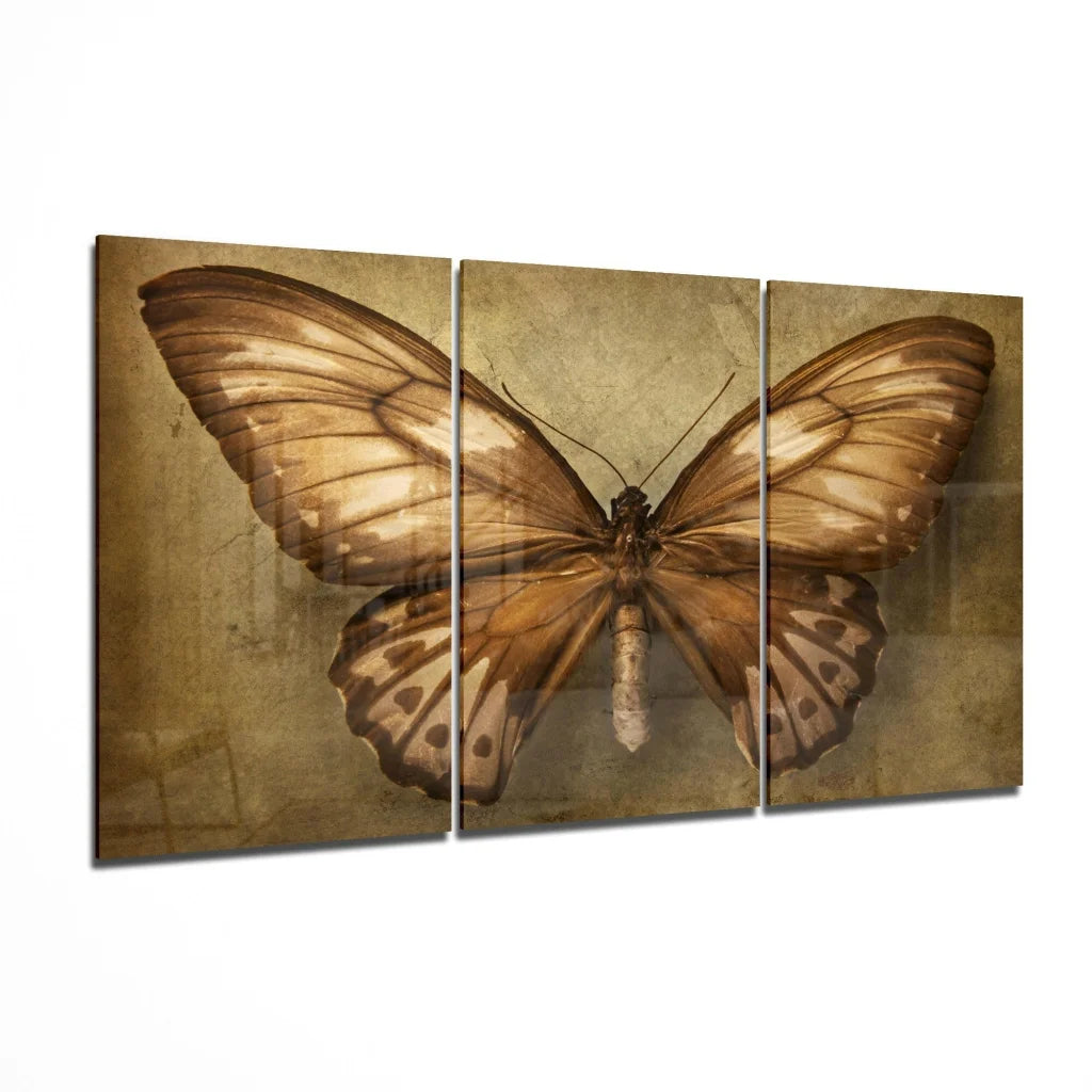 Stunning sepia brown butterfly triptych canvas wall art set