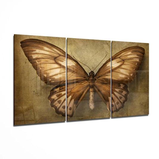 Stunning sepia brown butterfly triptych canvas wall art set