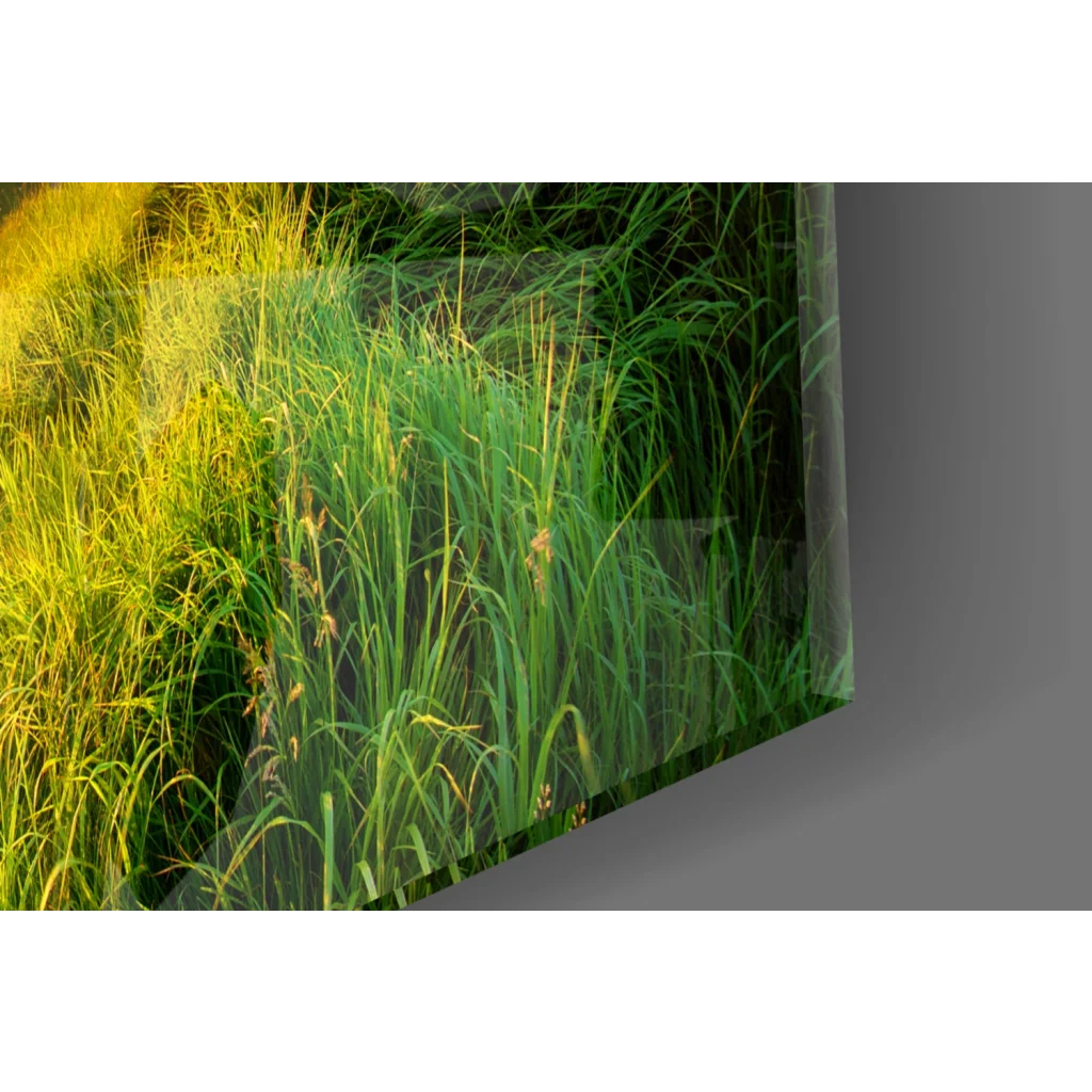 Vibrant sunset glass wall art of rolling green hills and golden grass