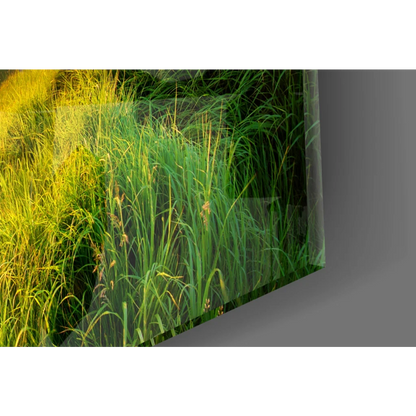 Vibrant sunset glass wall art of rolling green hills and golden grass