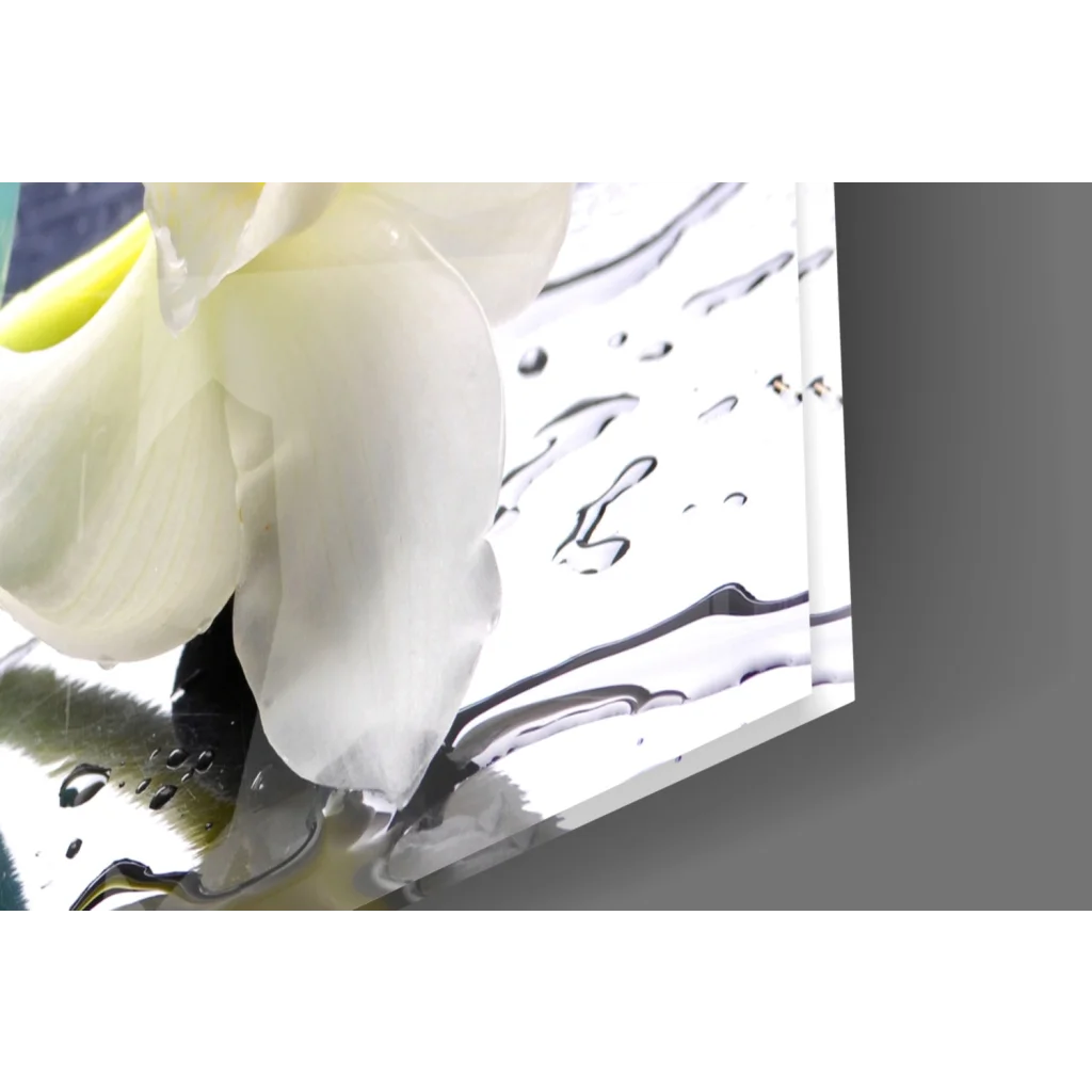 White orchid flower in water on stunning teal glass wall art