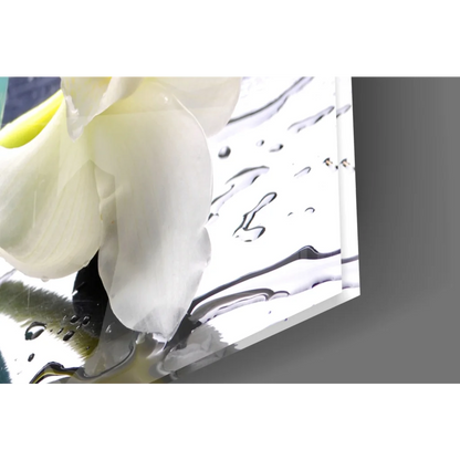 White orchid flower in water on stunning teal glass wall art